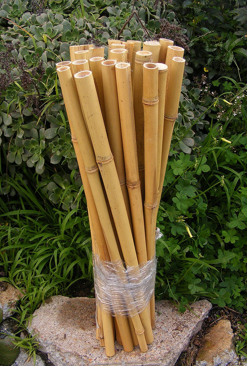 sturdy bamboo plant stakes