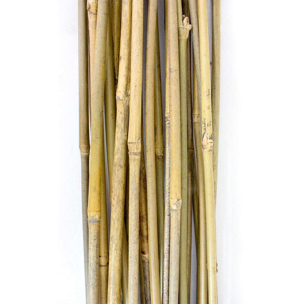 plant stakes bamboo