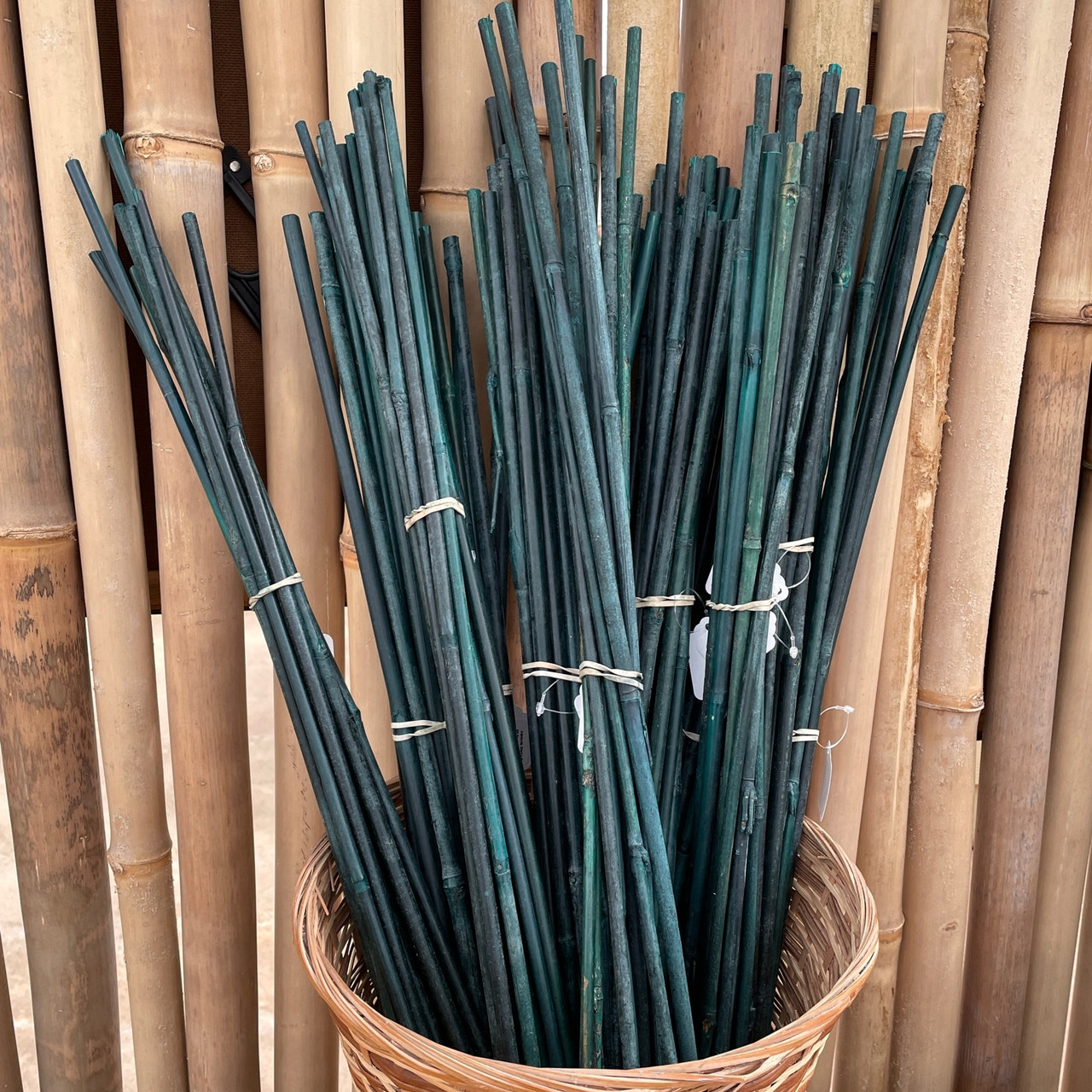 green bamboo plant stakes