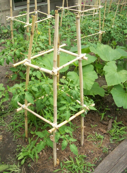 bamboo plant stakes wholesale