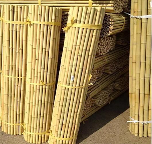 small bamboo stakes