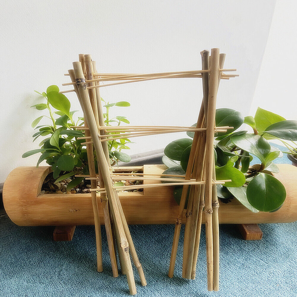 small bamboo plant stakes