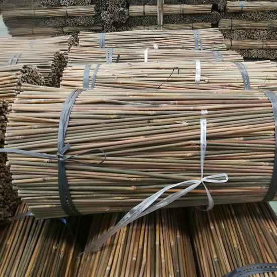 bamboo plant support stakes