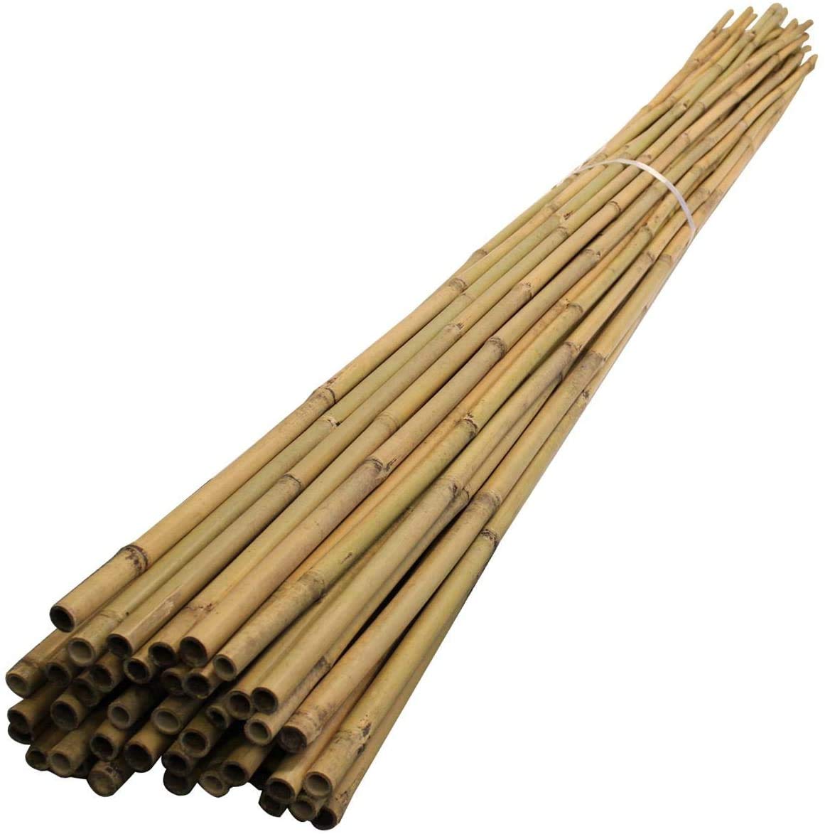 bamboo plant stakes 6 ft