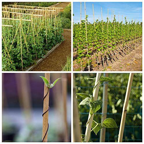 bamboo stakes for climbing plants