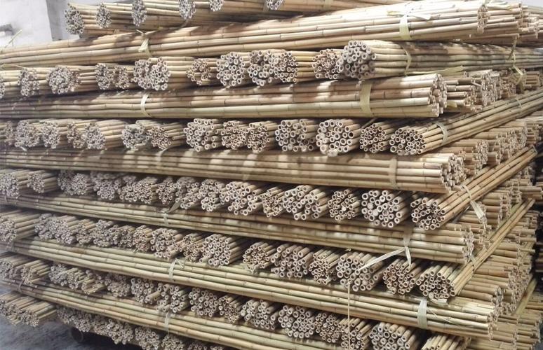 wholesale bamboo stakes