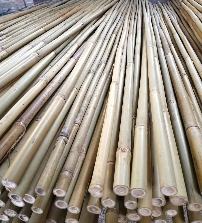 bamboo plant stake