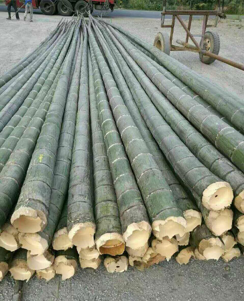 bamboo plant stakes cheap