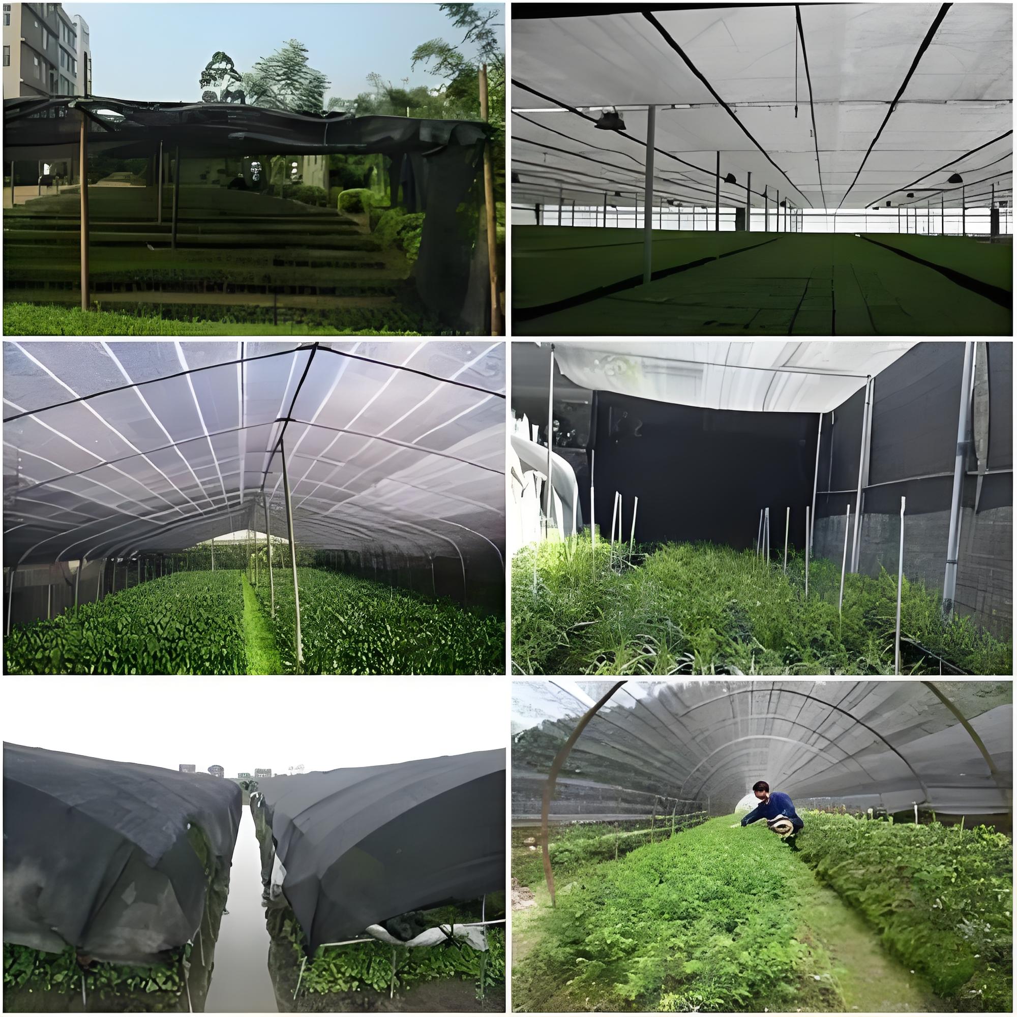 where to buy garden shade cloth
