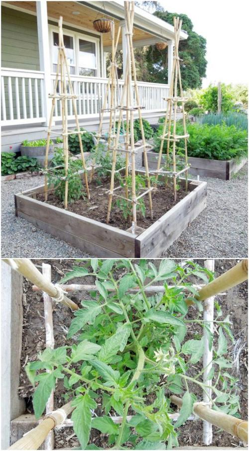 how to make a trellis with bamboo stakes
