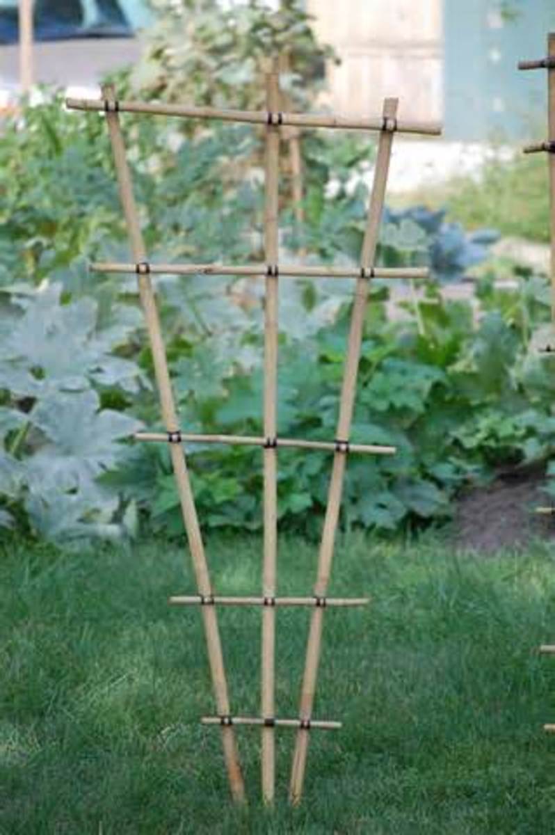 how to make a trellis out of bamboo stakes