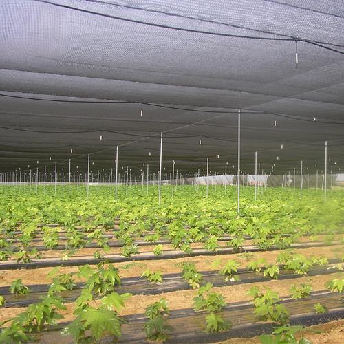 when to use shade cloth in the garden
