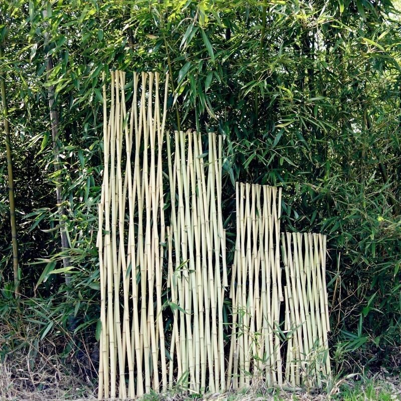 buy bamboo garden stakes