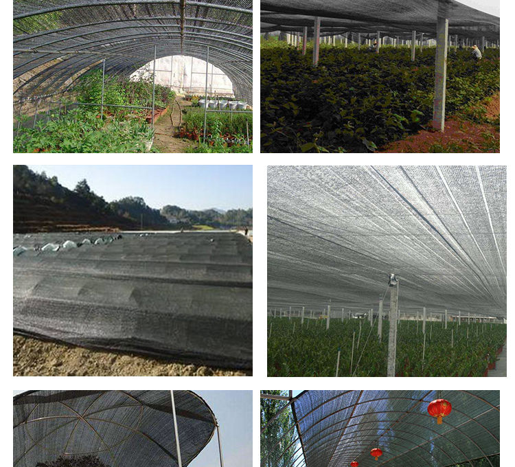 veggie garden shade cloth