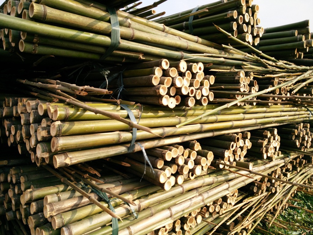 cheap bamboo stakes