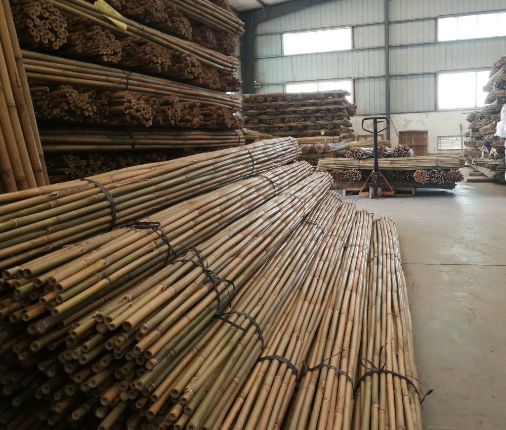 untreated bamboo stake