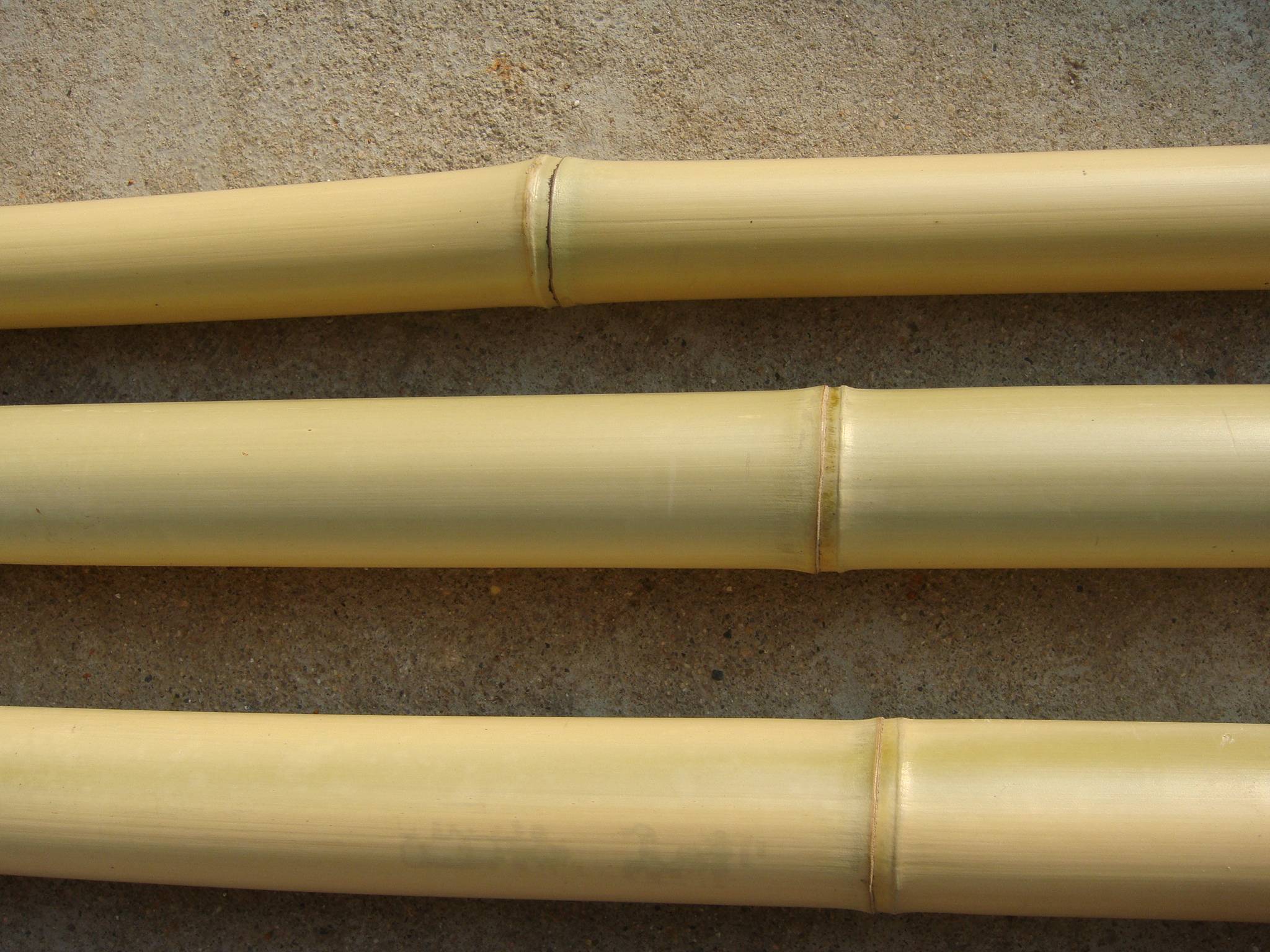 moss pole vs bamboo stake