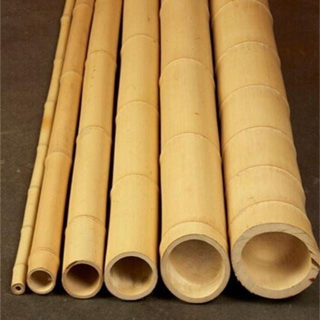 bamboo stakes for trees