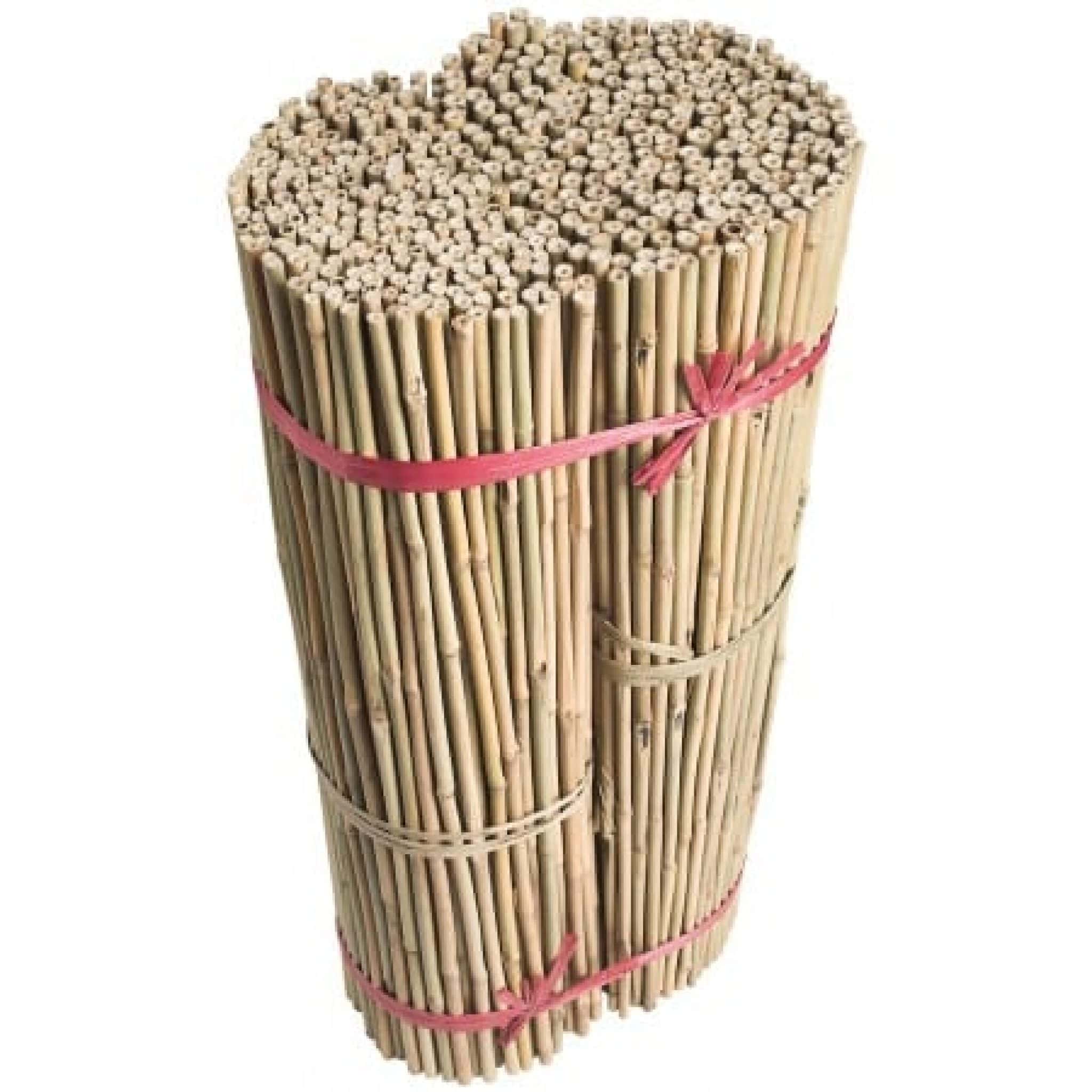 bamboo gardening stakes