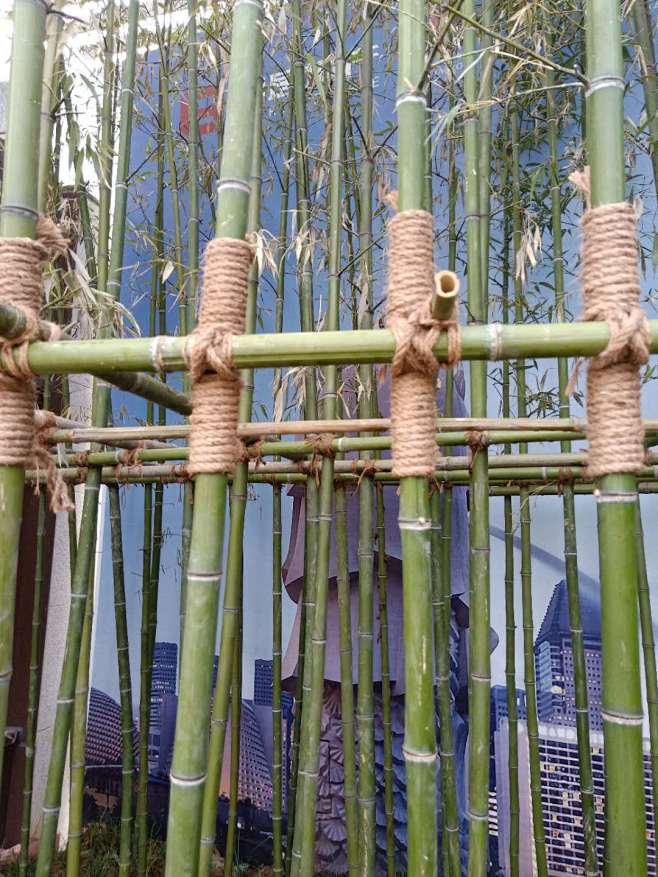 how to tie bamboo stakes together