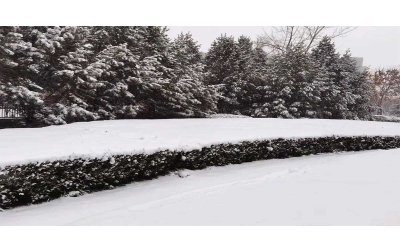 Heavy Snowfall