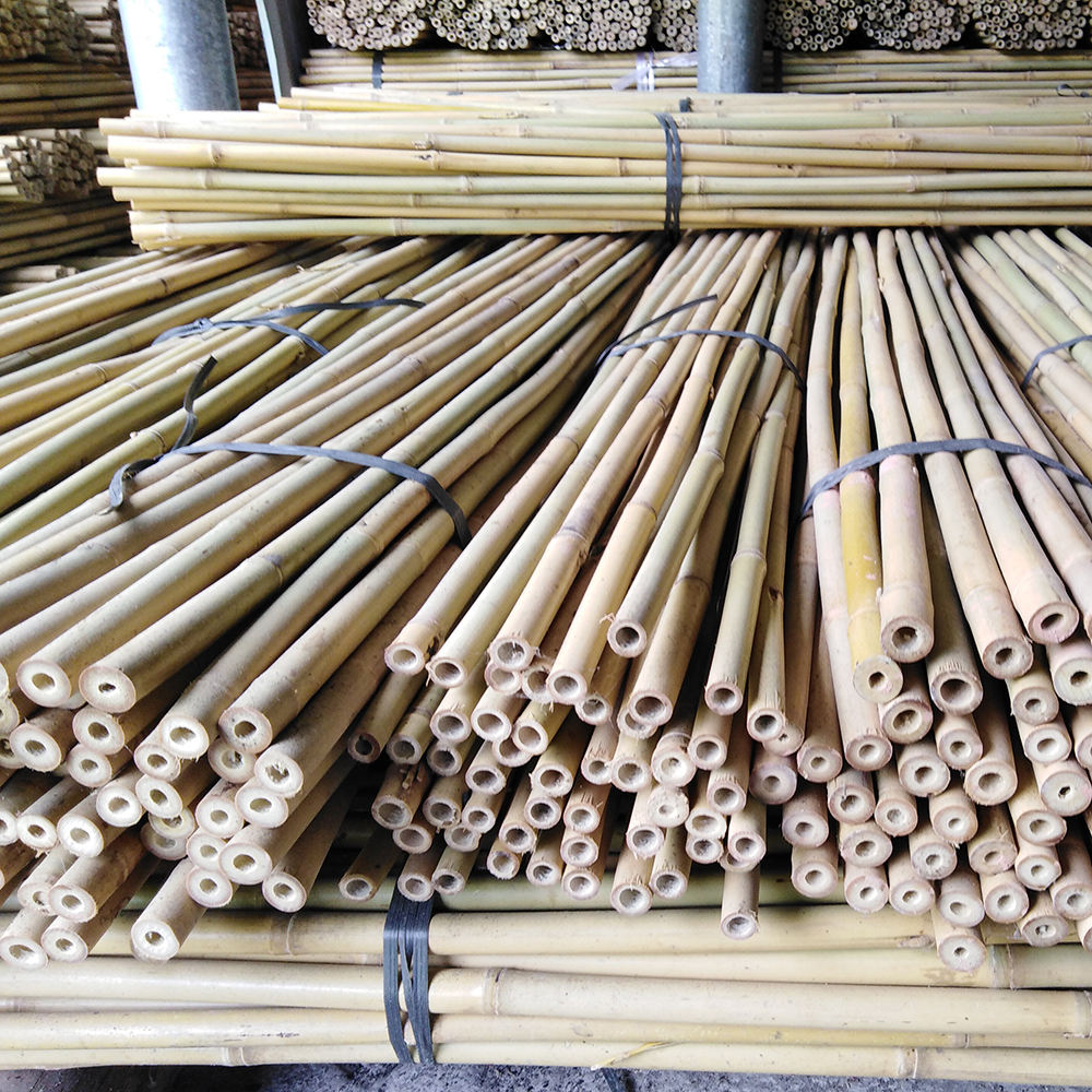 bamboo garden stakes for sale