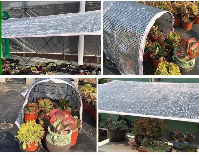 using shade cloth in the garden