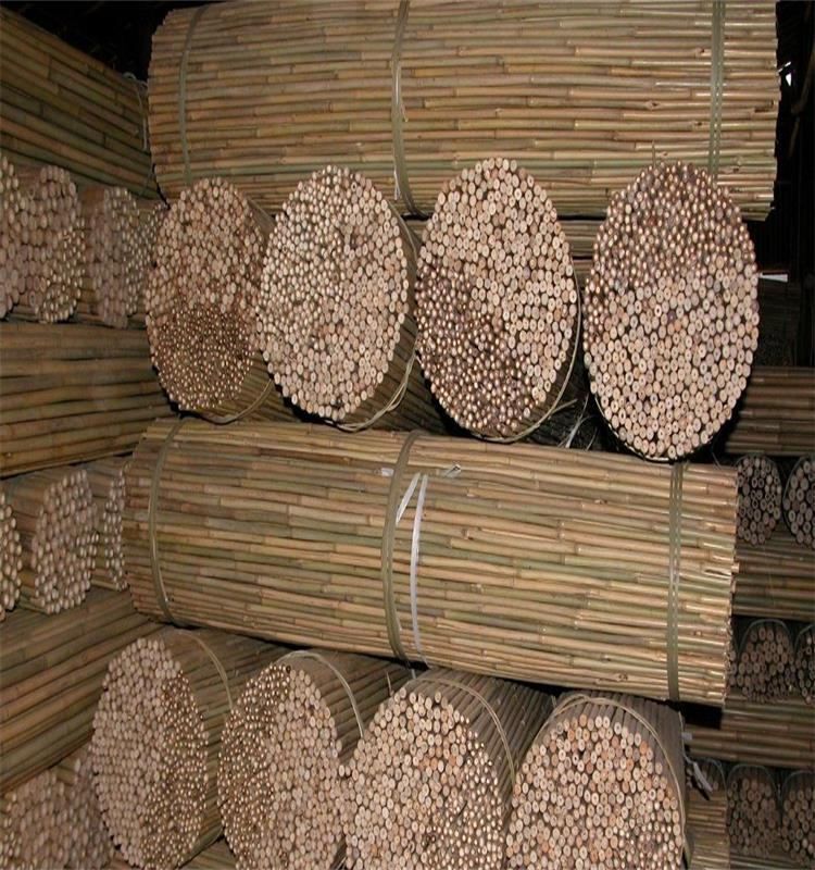 bamboo plant stakes cheap