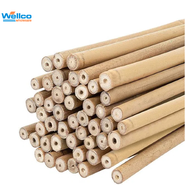 Bamboo Stake