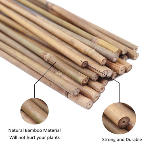 Bamboo Stake 2.5'tall, 8-10mm, 500pcs