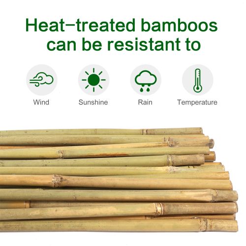 Bamboo Stake 4'tall, 10-12mm, 250pcs