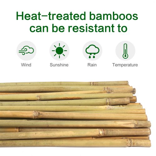 Bamboo Stake 6' tall, 14-16mm, 150pcs
