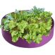 35.5in x 12in Large Purple Garden Planting Bag for Vegetables  , Fruits, Greens, Flowers