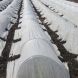 Wire Grow Tunnel, Row Cover, 0.9oz, 18" x 19", 6pcs