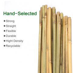Bamboo Stake, 2'-3' Tall, Dia. 6-12mm