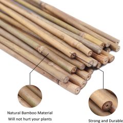 Bamboo Stake, 5'-6' Tall, Dia.12-18mm
