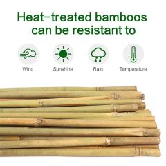 Bamboo Stake 6' tall, 12-14mm, 200pcs