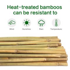 Bamboo Stake, 3.5'-4' Tall, Dia. 8-14mm