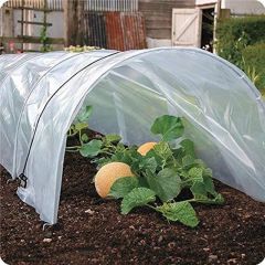 Greenhouse Film, 2.4Mil, 6.5ft x 10ft