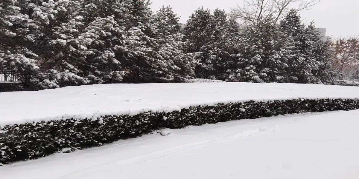 Heavy Snowfall