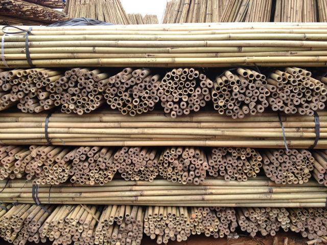 Bamboo for Garden Stakes